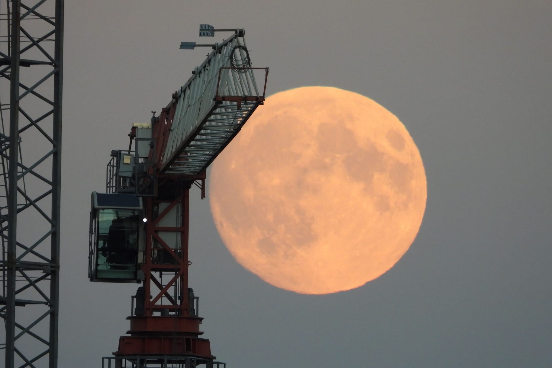 Der Weinmond am Mittwochabend in Hamburg: Seinen Höhepunkt erreicht der Vollmond am Donnerstag.