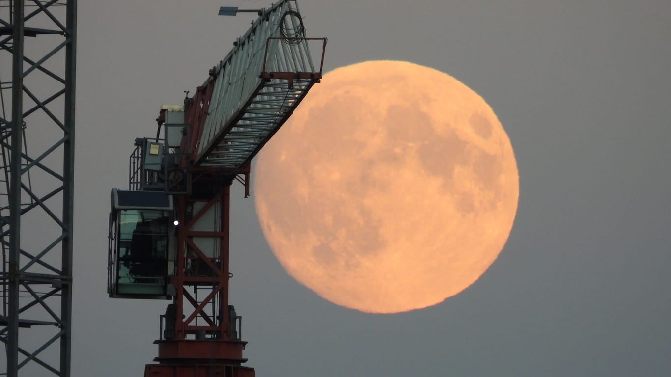 Der Weinmond am Mittwochabend in Hamburg: Seinen Höhepunkt erreicht der Vollmond am Donnerstag.