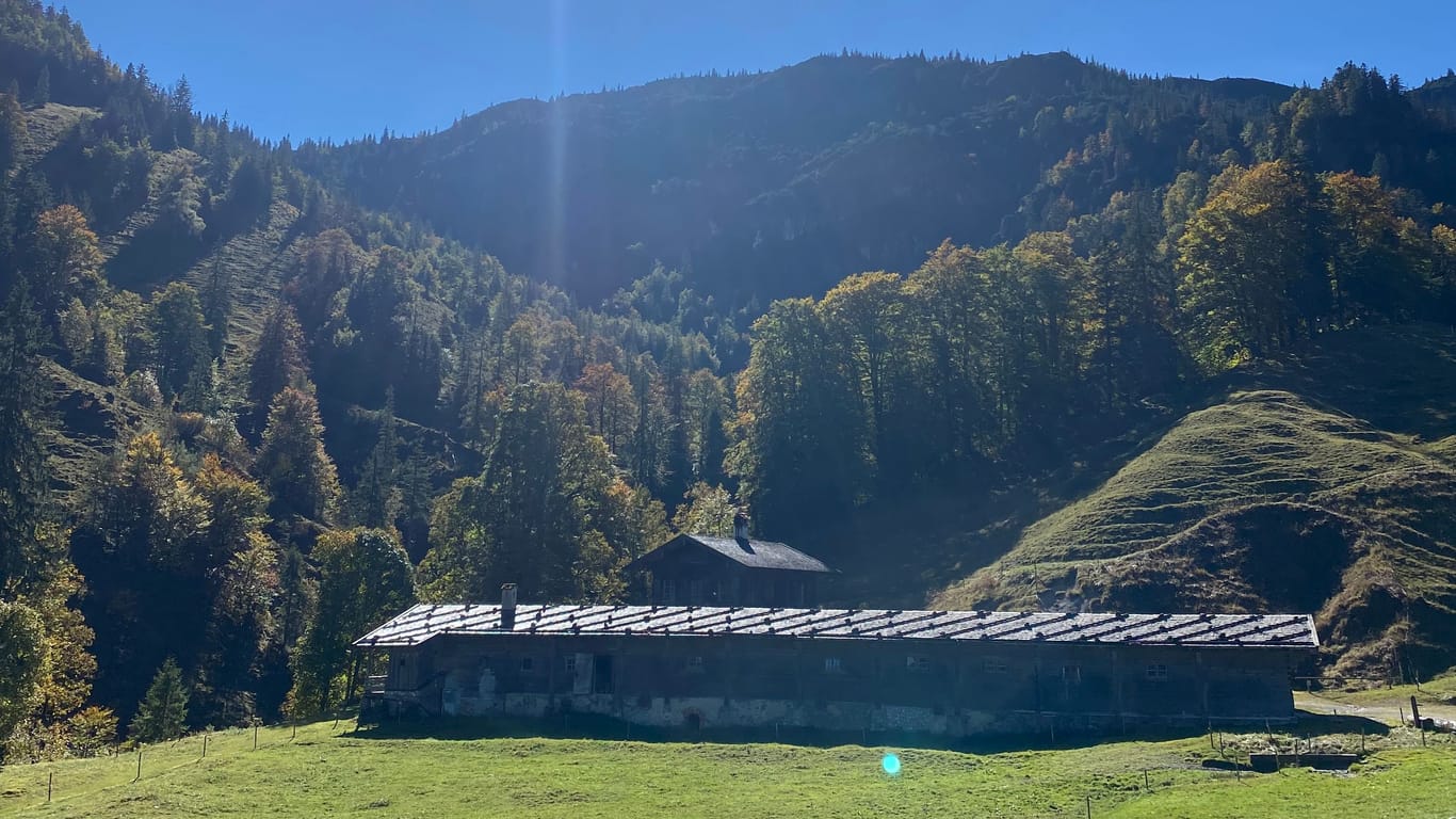 Eingebettet in einen herbstlichen Blätterwald hebt sich die Königsalm vor den Bergen ab.