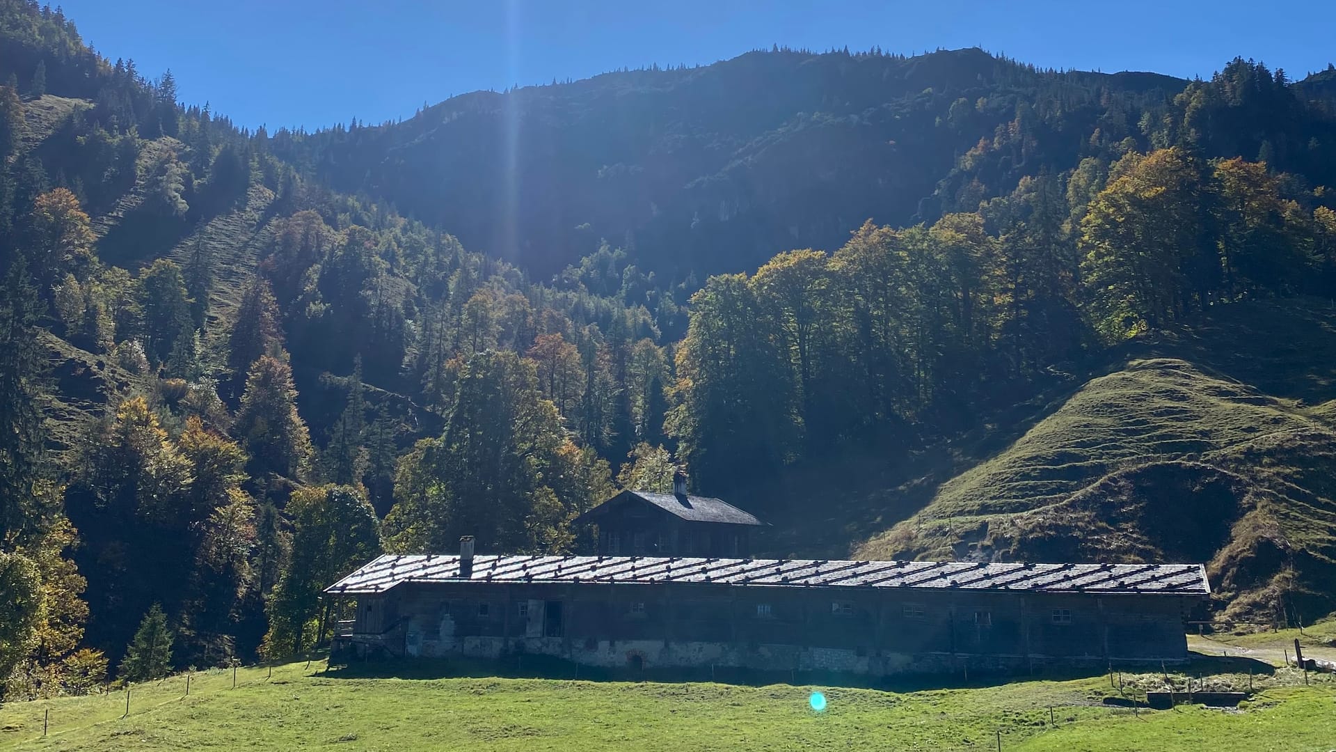 Eingebettet in einen herbstlichen Blätterwald hebt sich die Königsalm vor den Bergen ab.