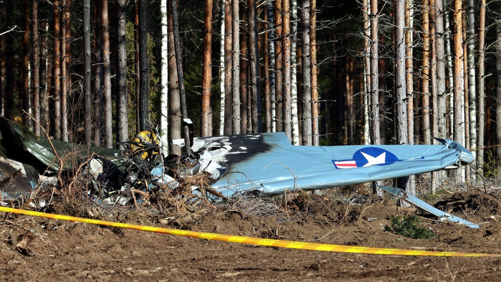 Das abgestürzte Flugzeug am Waldrand: Zwei Menschen starben.