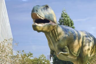 Modell eines T-Rex in Frankfurt (Archivbild): Er ist ein Verwandter der jetzt entdeckten Dinosaurier.