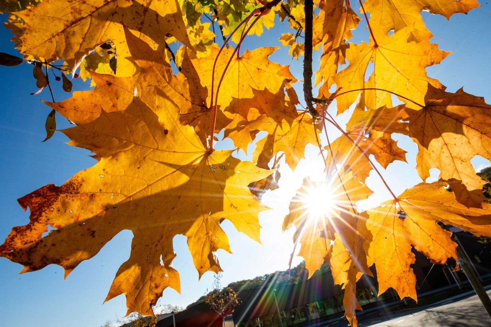 Sonniger Oktober in Stuttgart