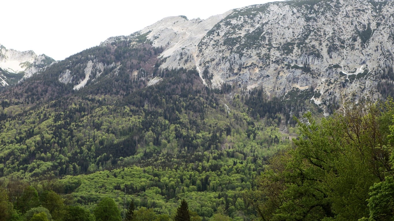 Der Südhang des Hochstaufen in Bad Reichenhall.