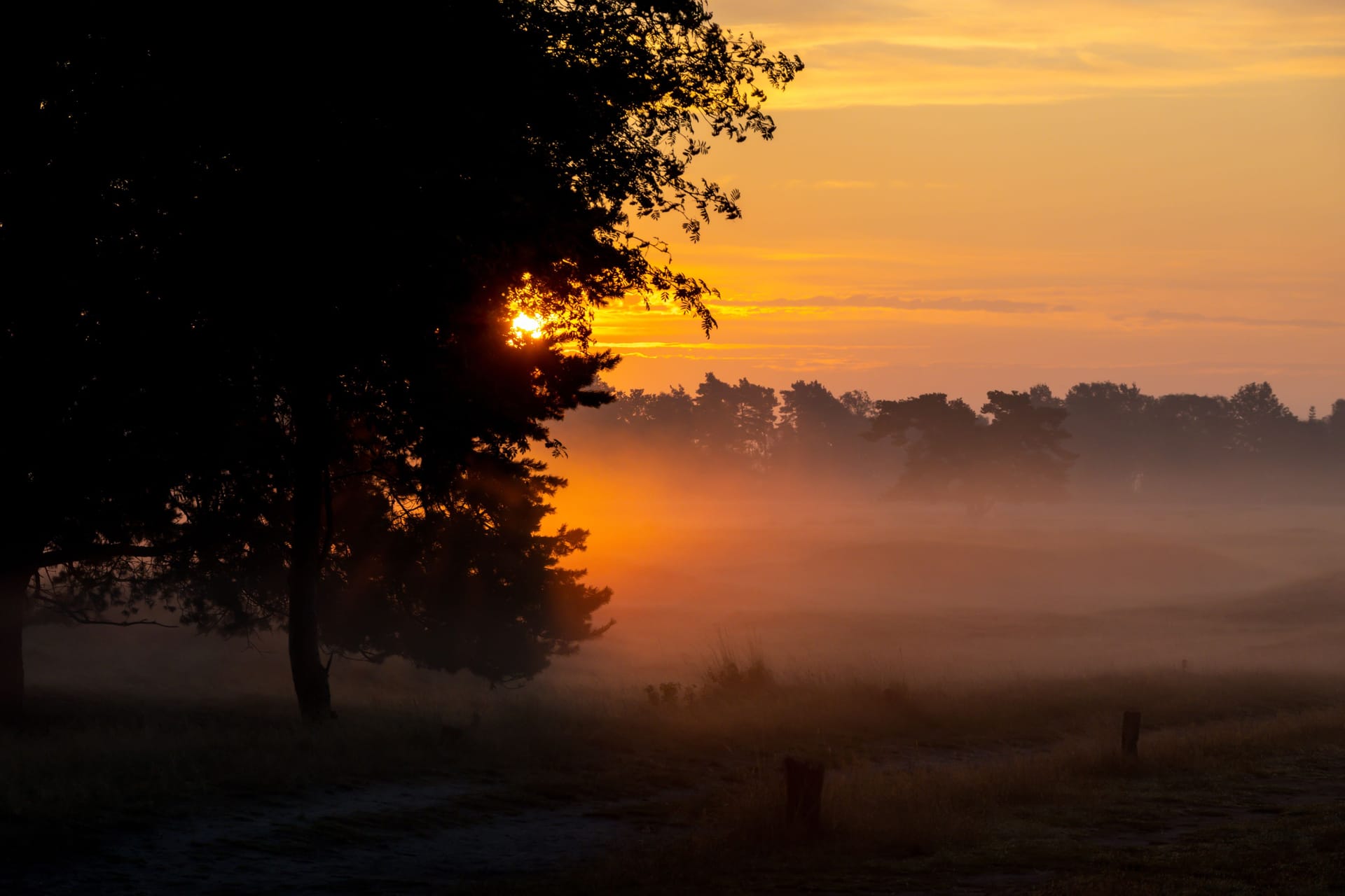 Sonnenaufgang über dem Pitzmoor.