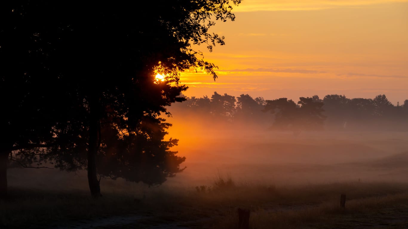 Sonnenaufgang über dem Pitzmoor.