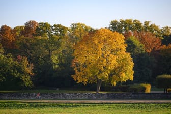 Herbst in Sachsen