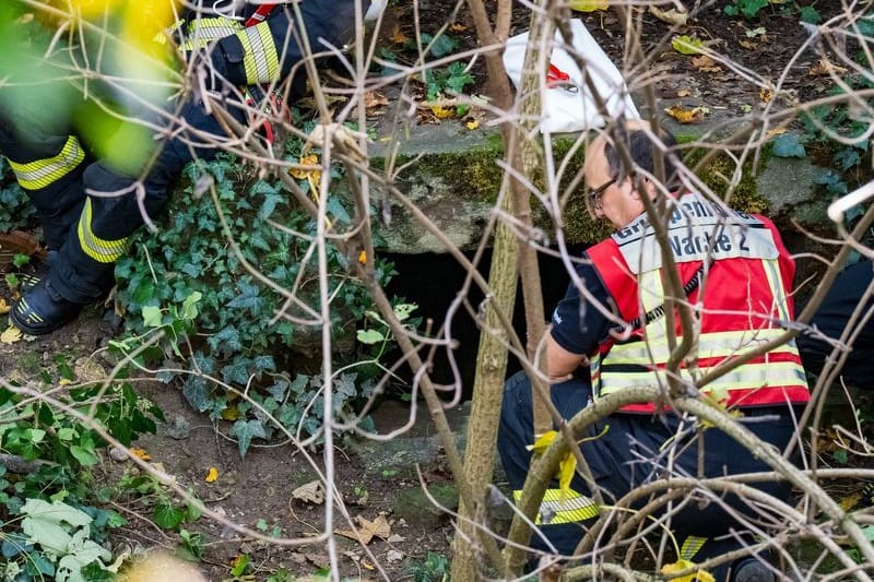 In Mainz: Einsatzkräfte sind nach dem Fund einer Leiche in einem historischen Schacht an der Bastion Martin im Einsatz.