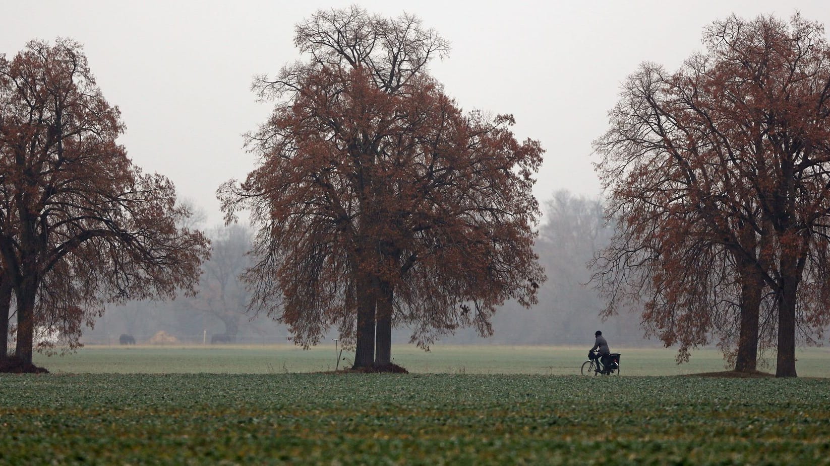 Trübes Wetter in Sachsen