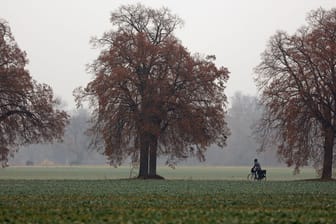 Trübes Wetter in Sachsen