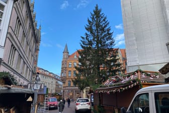 Der Weihnachtsbaum ist an der Marktkirche aufgebaut: Er wird noch mit Lichterketten geschmückt. Diese sind insgesamt 1,5 Kilometer lang und haben 3.000 Lämpchen.