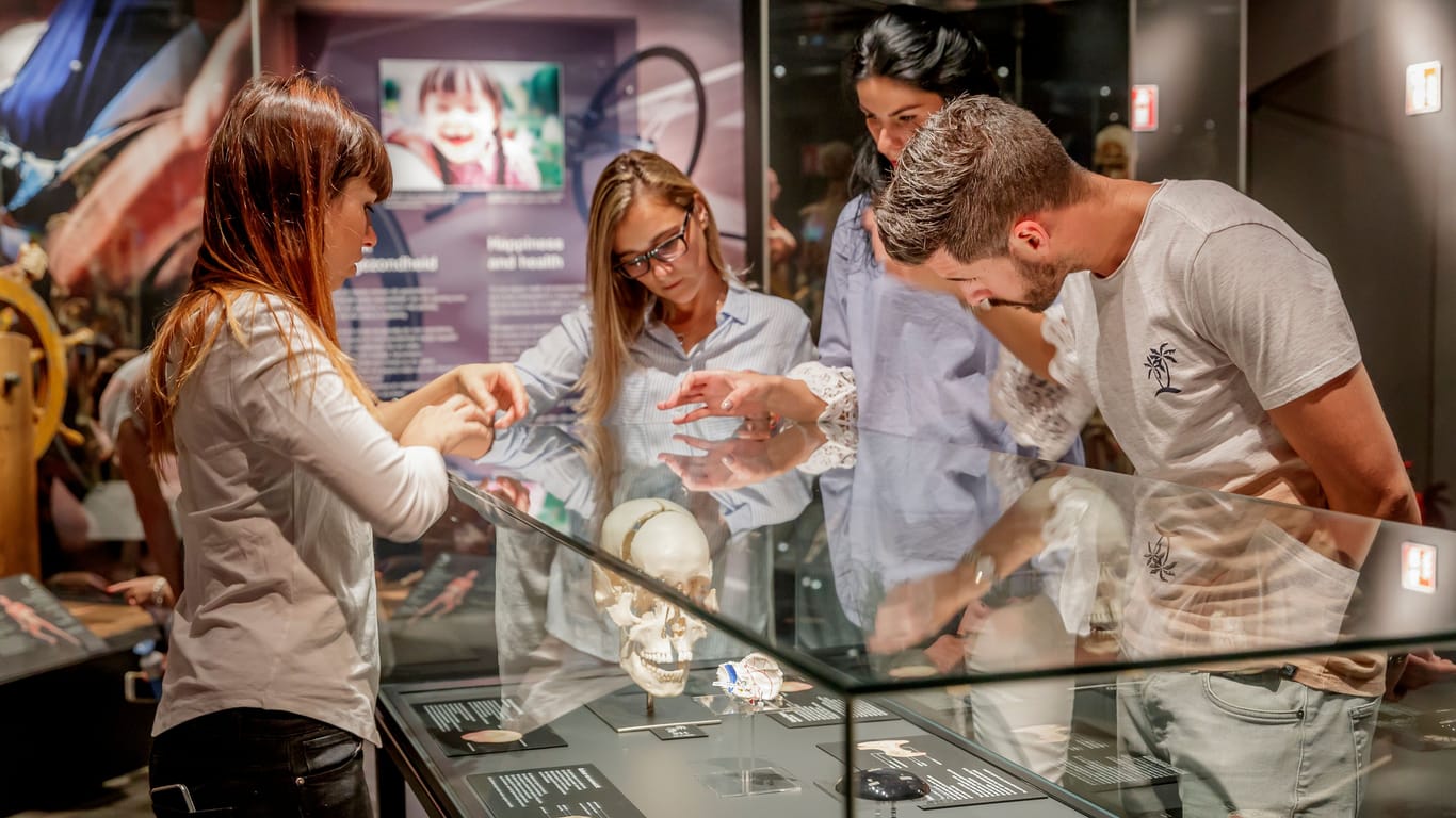 Besucher beugen sich über eine Ausstellungsvitrine in der Ausstellung "Körperwelten".