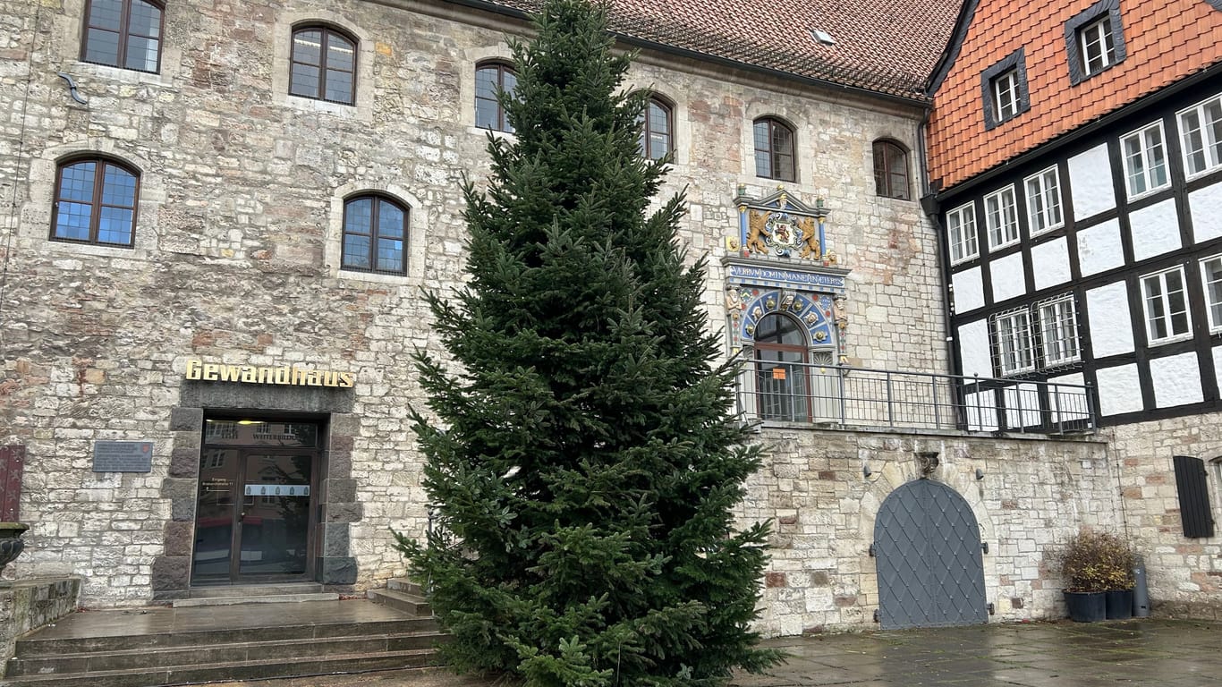 Die Weihnachtstanne steht: Ein Baum ist auf dem Altstadtmarkt aufgestellt worden.