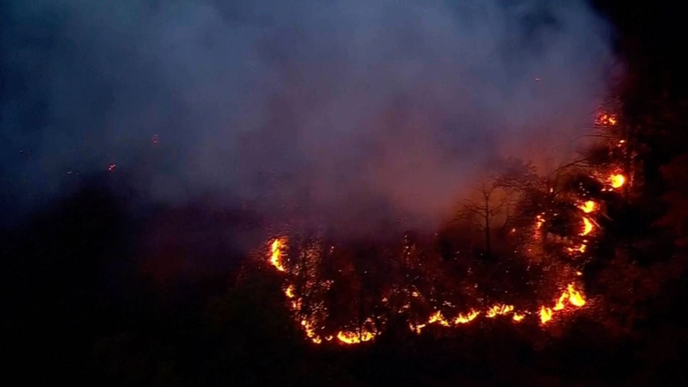 Buschfeuer mitten in New York.