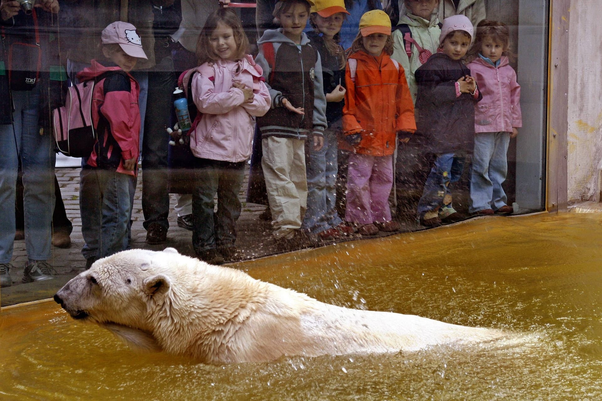 Kinder im Tierpark Hellabrunn mit Eisbär Lisa (Archivbild).