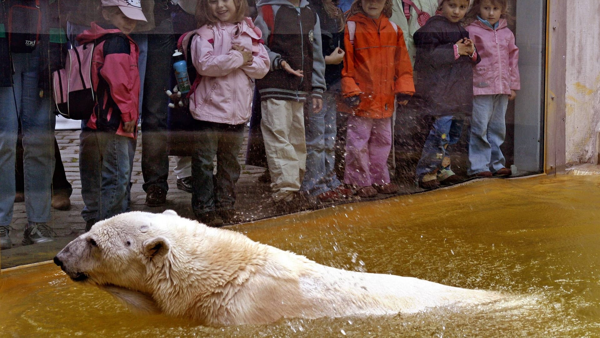 Kinder im Tierpark Hellabrunn mit Eisbär Lisa (Archivbild).