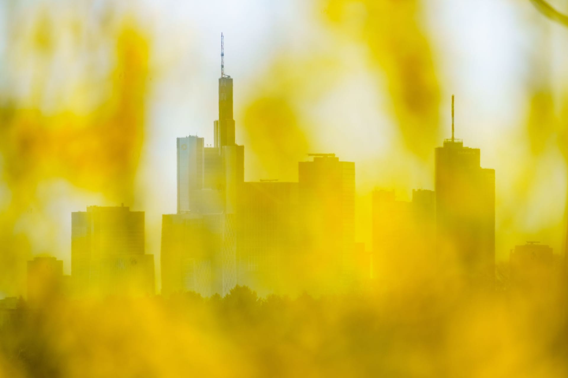 Frankfurter Skyline Frankfurter Skyline