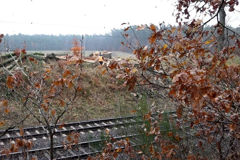 Ein Baum kippte auf die Oberleitung: Ein Blitzeinschlag legte den Zugverkehr im Norden lahm.