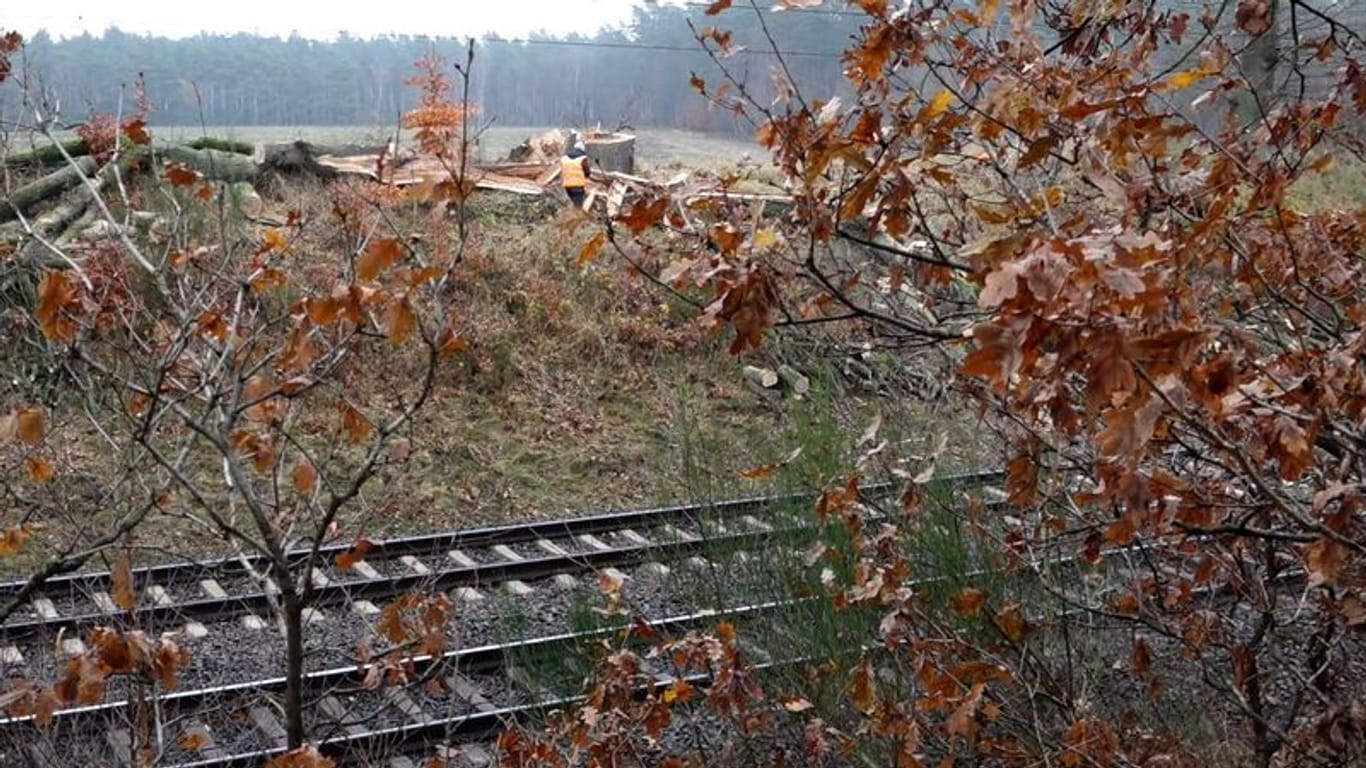 Ein Baum kippte auf die Oberleitung: Ein Blitzeinschlag legte den Zugverkehr im Norden lahm.