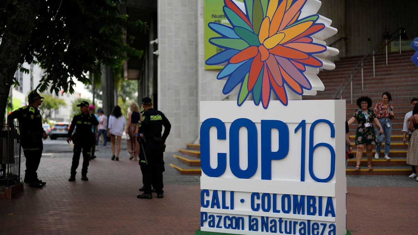 Vor der Weltnaturkonferenz COP16