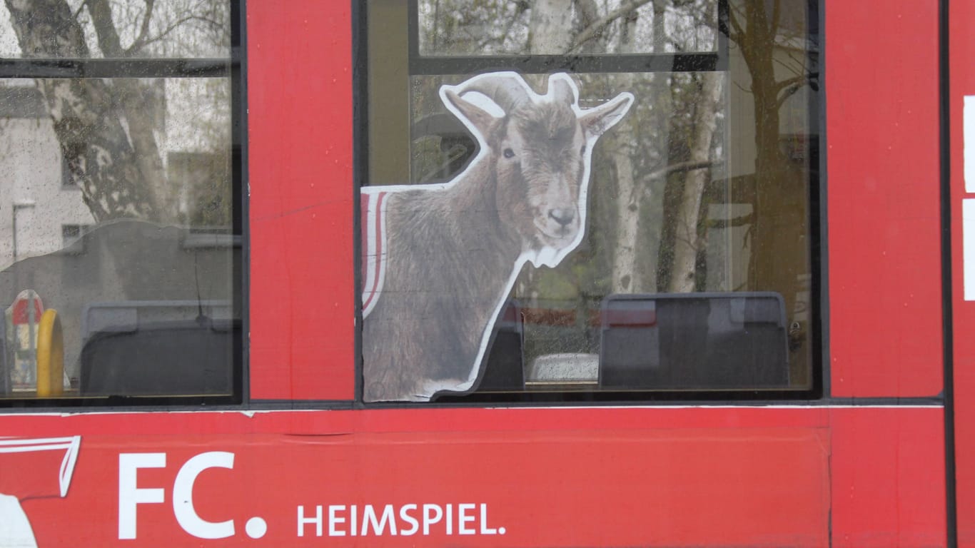 Straßenbahn der KVB im Look des 1. FC Köln (Archivbild): Auf Reddit tauschen sich Nutzer über ihre absurdesten Fahrten aus.