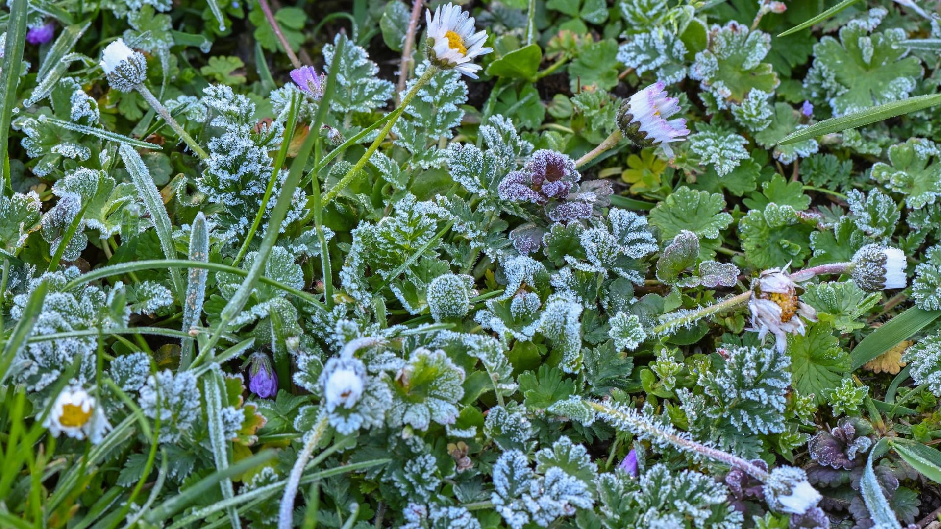 Wetter in Baden-Württemberg