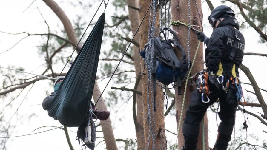 Polizeibeamte klettern auf einen Baum im Protestcamp bei Grünheide (Archivbild): Nun haben die Einsatzkräfte mehrere Aktivisten zu Boden gebracht.