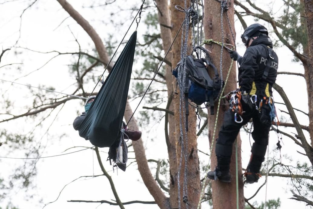 Polizeibeamte klettern auf einen Baum im Protestcamp bei Grünheide (Archivbild): Nun haben die Einsatzkräfte mehrere Aktivisten zu Boden gebracht.