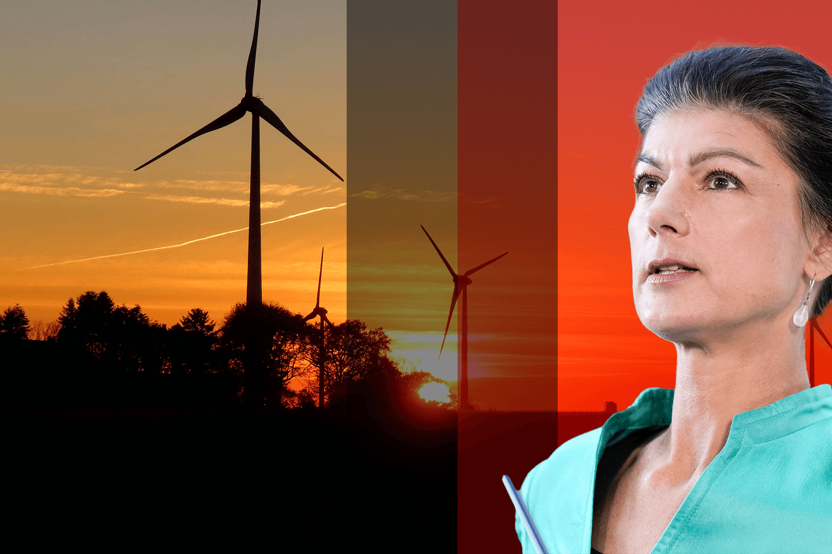 Sahra Wagenknecht kritisiert Windkraftanlagen in Wäldern und Naturschutzgebieten