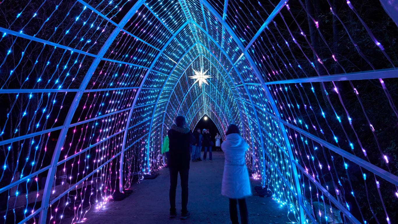 Der Christmas Garden im Erlebnis-Zoo Hannover bietet viele schöne Fotomotive.