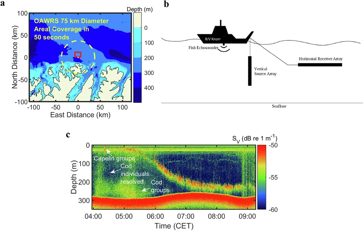 Der Ort des Massakers vor Norwegens Küste, Schema des Forschungsschiffes sowie ein Echogramm: Letztes zeigt, wie die Lodden mit Beginn der Morgendämmerung Richtung Meeresboden schwimmen und dabei durch Tiefen kommen, in denen sich Kabeljaue tummeln.