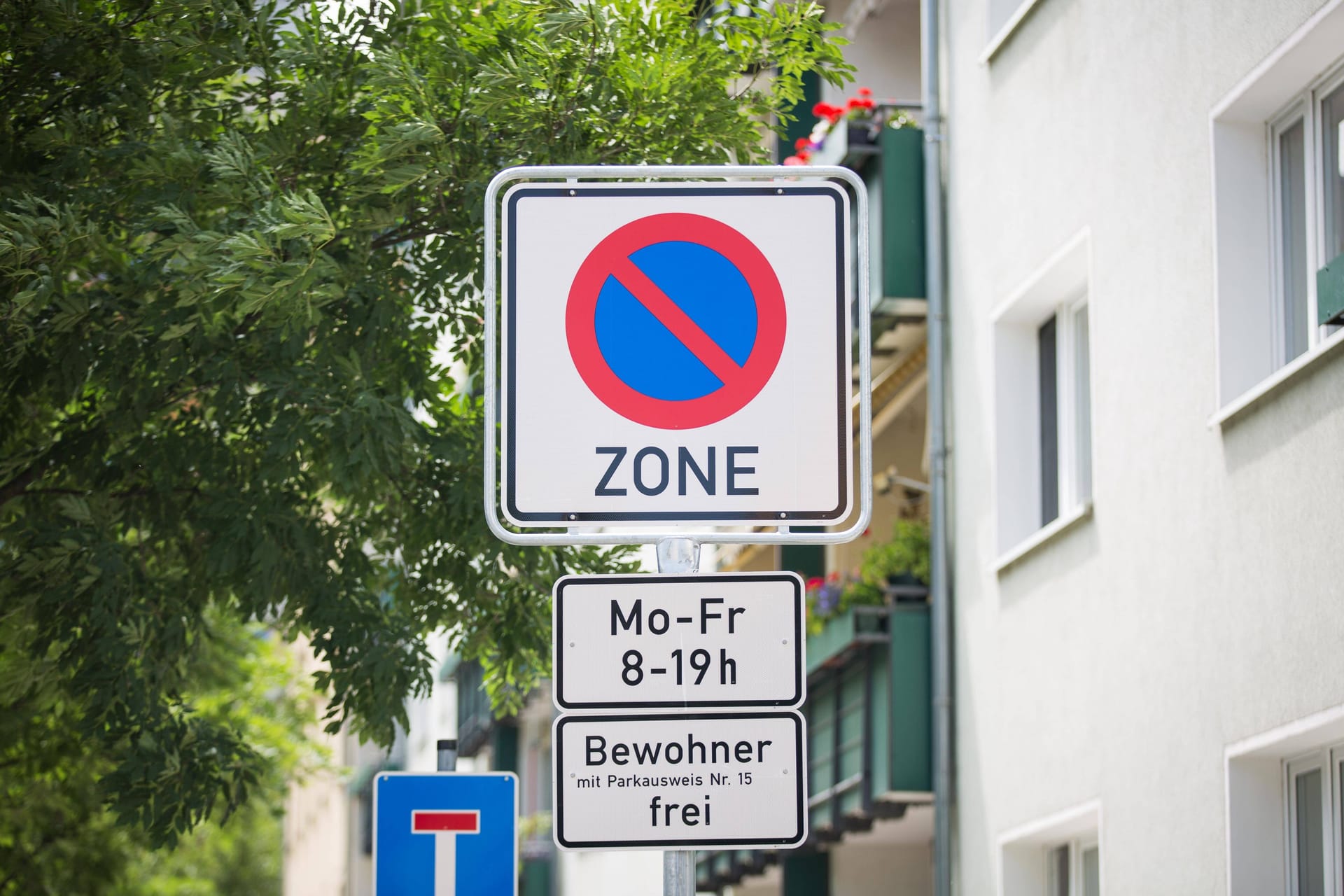 Schilderwald in Dresden (Archivbild): Die Stadt will das Anwohnerparken wesentlich teurer machen.