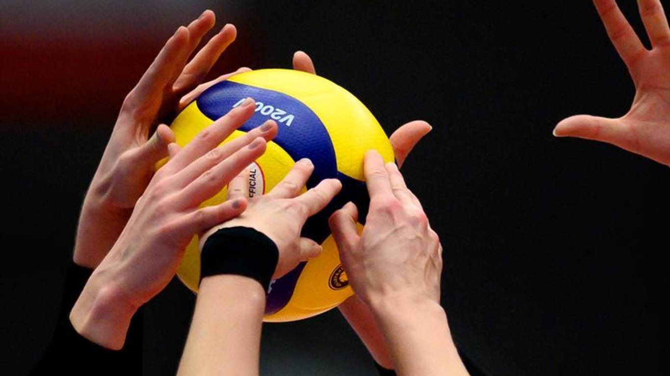 Volleyball, Bundesliga, Frauen: Dresdner SC - SC Potsdam; Dresdner Volleyballerinnen verteidigen mit klarem Sieg die Tabellenführung in der Bundesliga