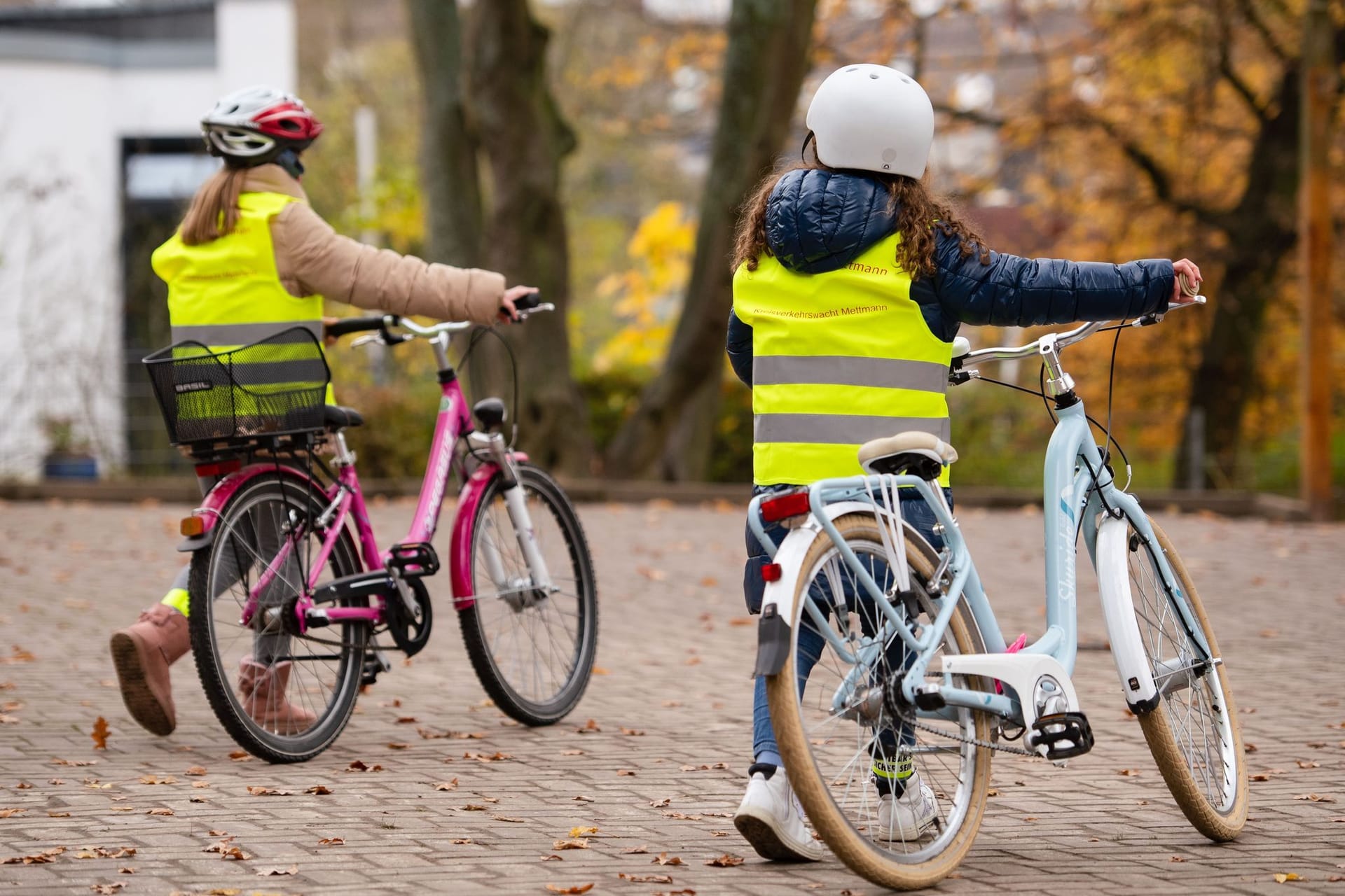 Fahrräder und Forschung