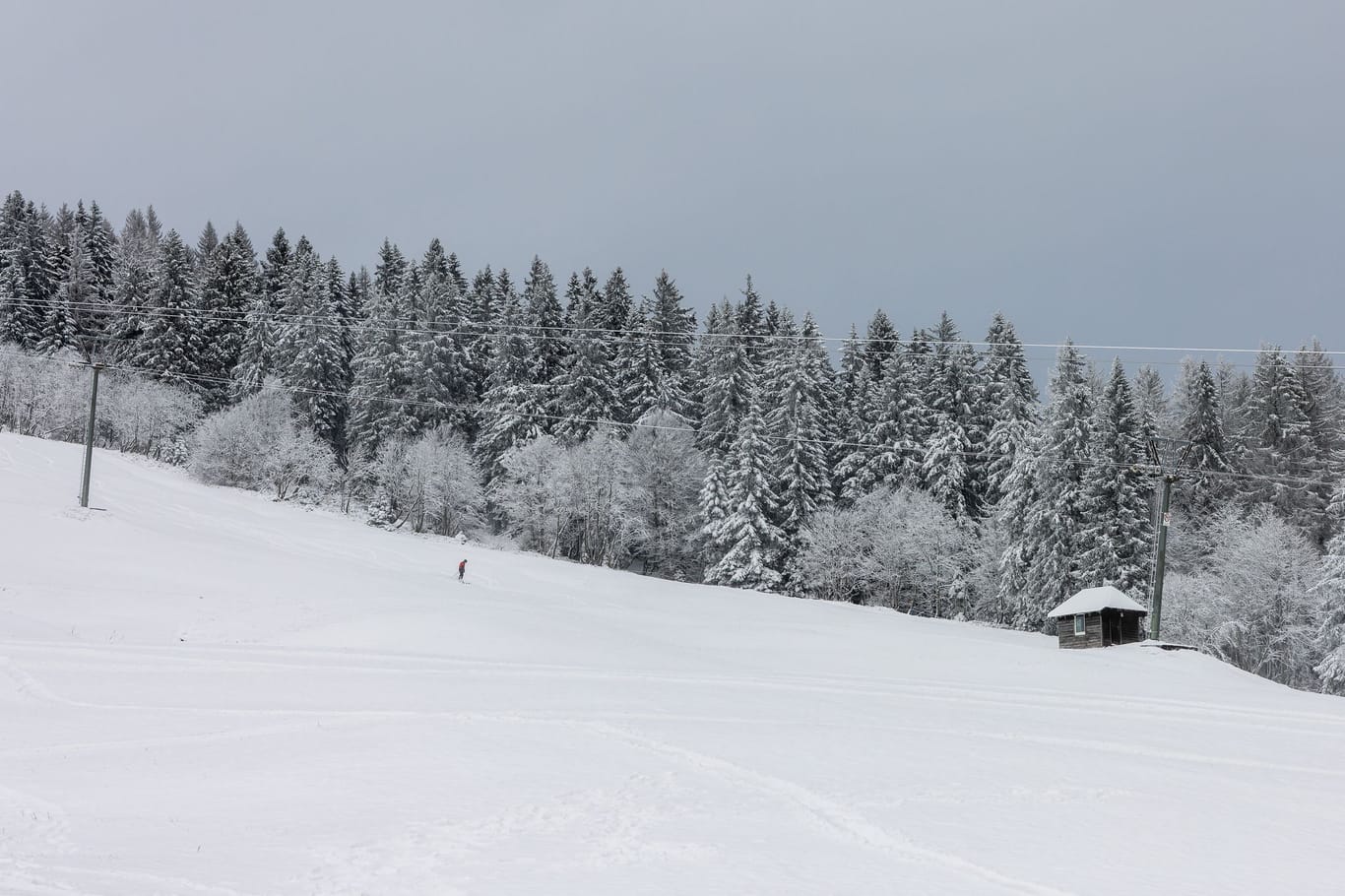 Schnee in Baden-Württemberg