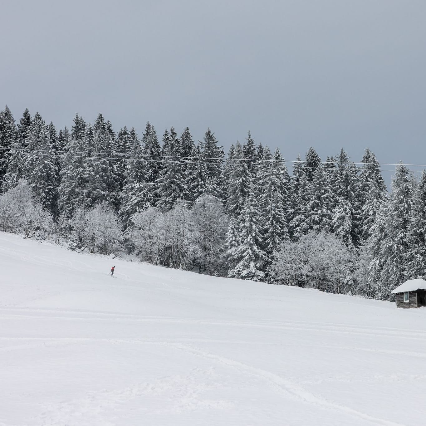 Schnee in Baden-Württemberg