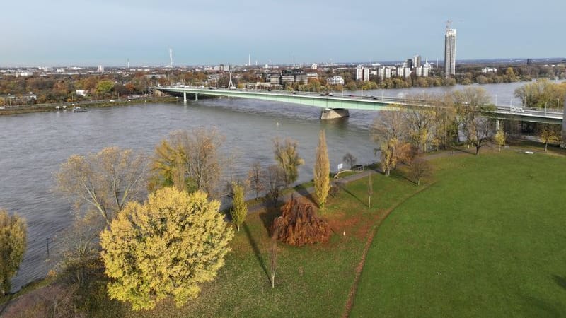 Die Zoobrücke in Köln, im Vordergrund der Rheinpark (Symbolbild): Bei der Ausschreibung zu Sanierungsarbeiten gab es verbotene Absprachen.