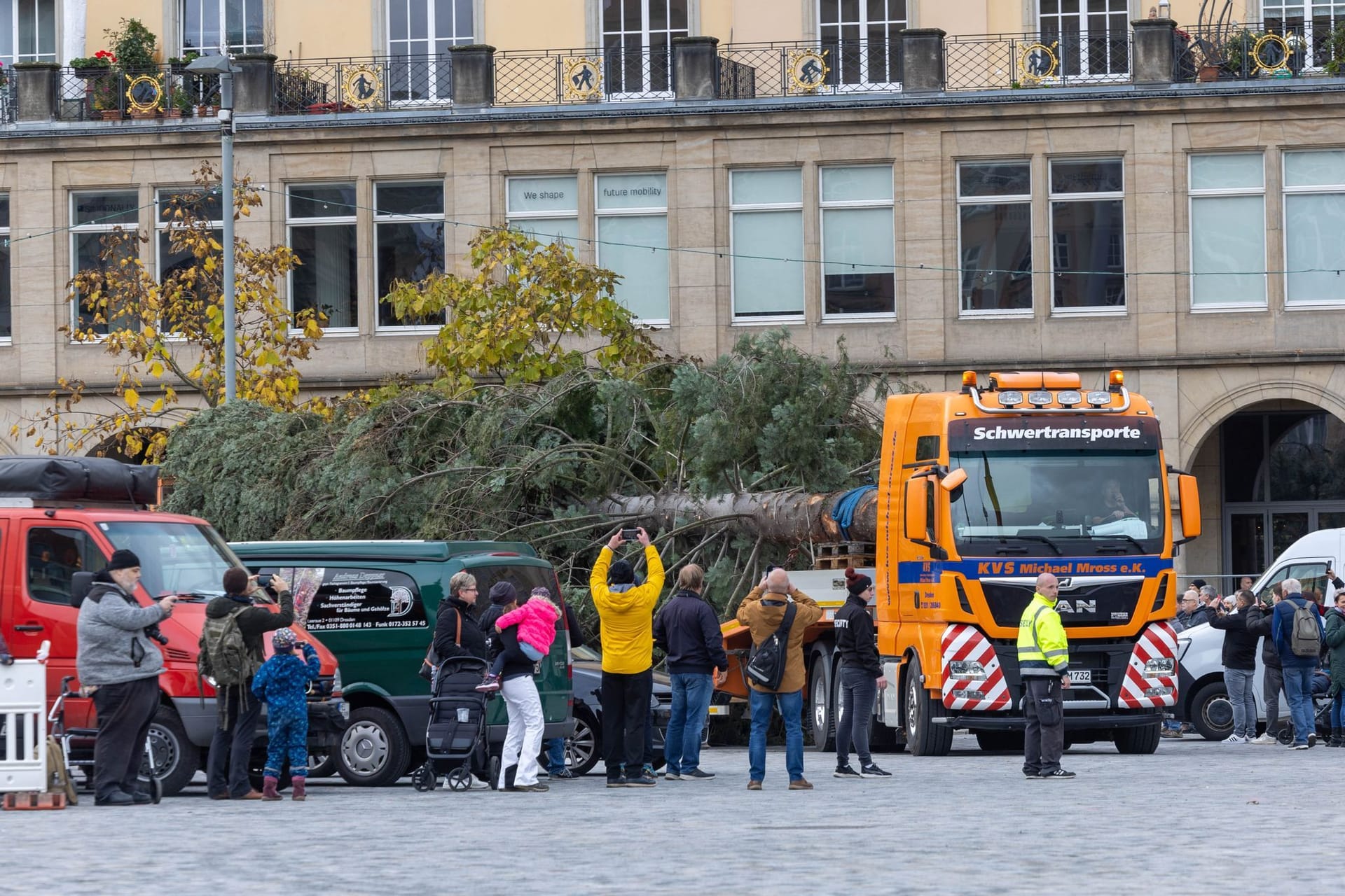 Die Striezelmarkt-Tanne wird auf den Altmarkt transportiert: Der diesjährige 590. Dresdner Striezelmarkt öffnet am 27. November 2024.