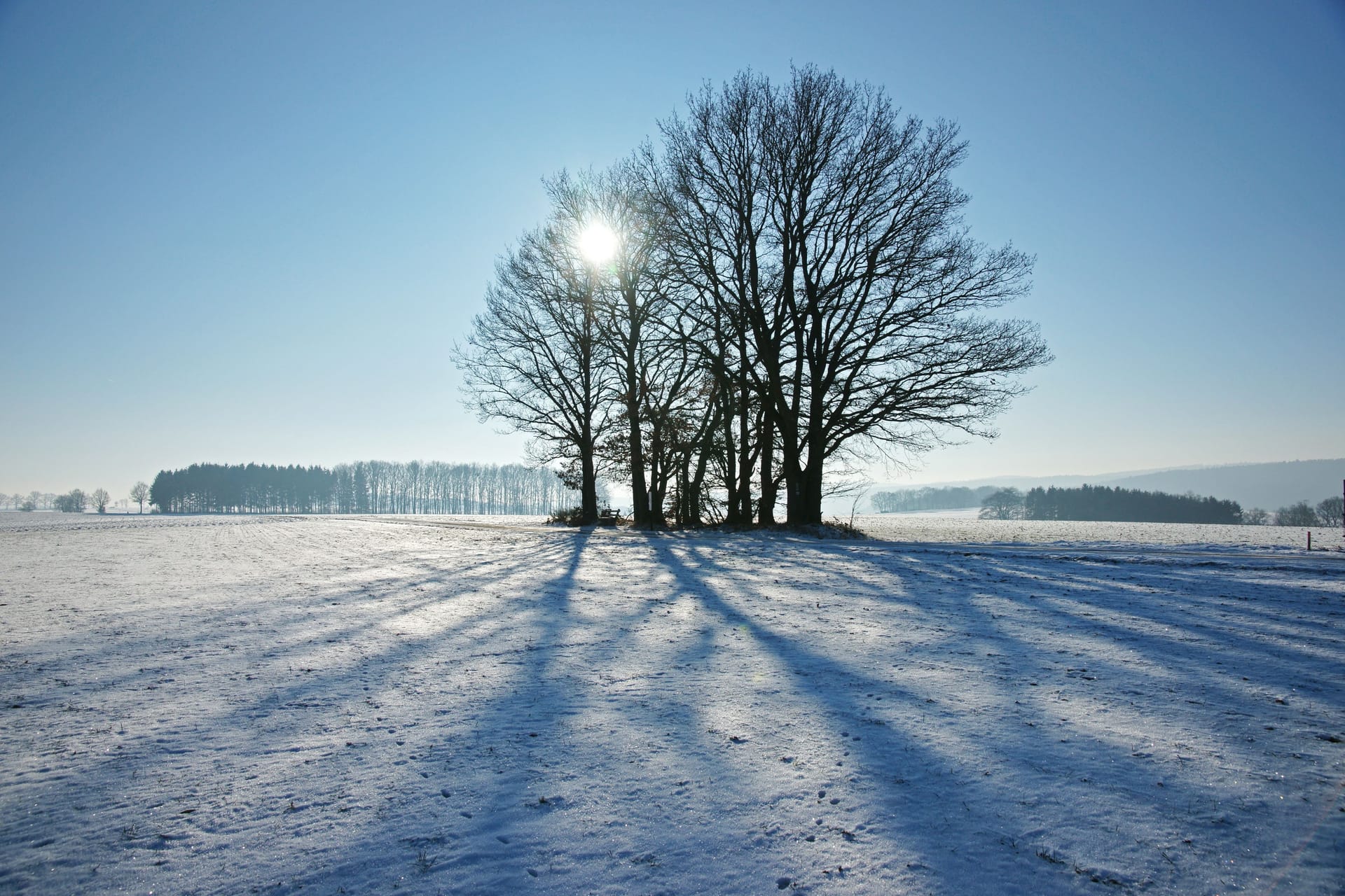 Winterlandschaft in Hessen (Symbolfoto).