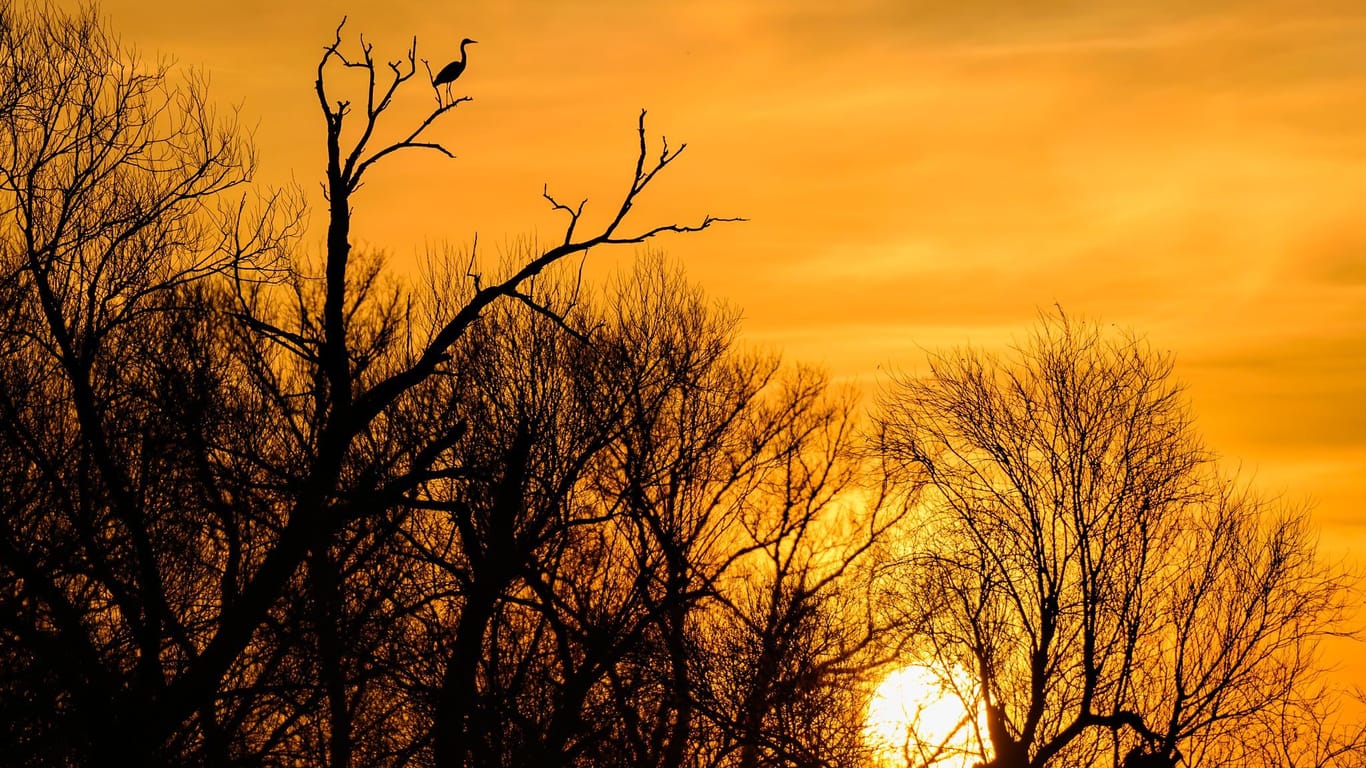 Morgenstimmung in Brandenburg