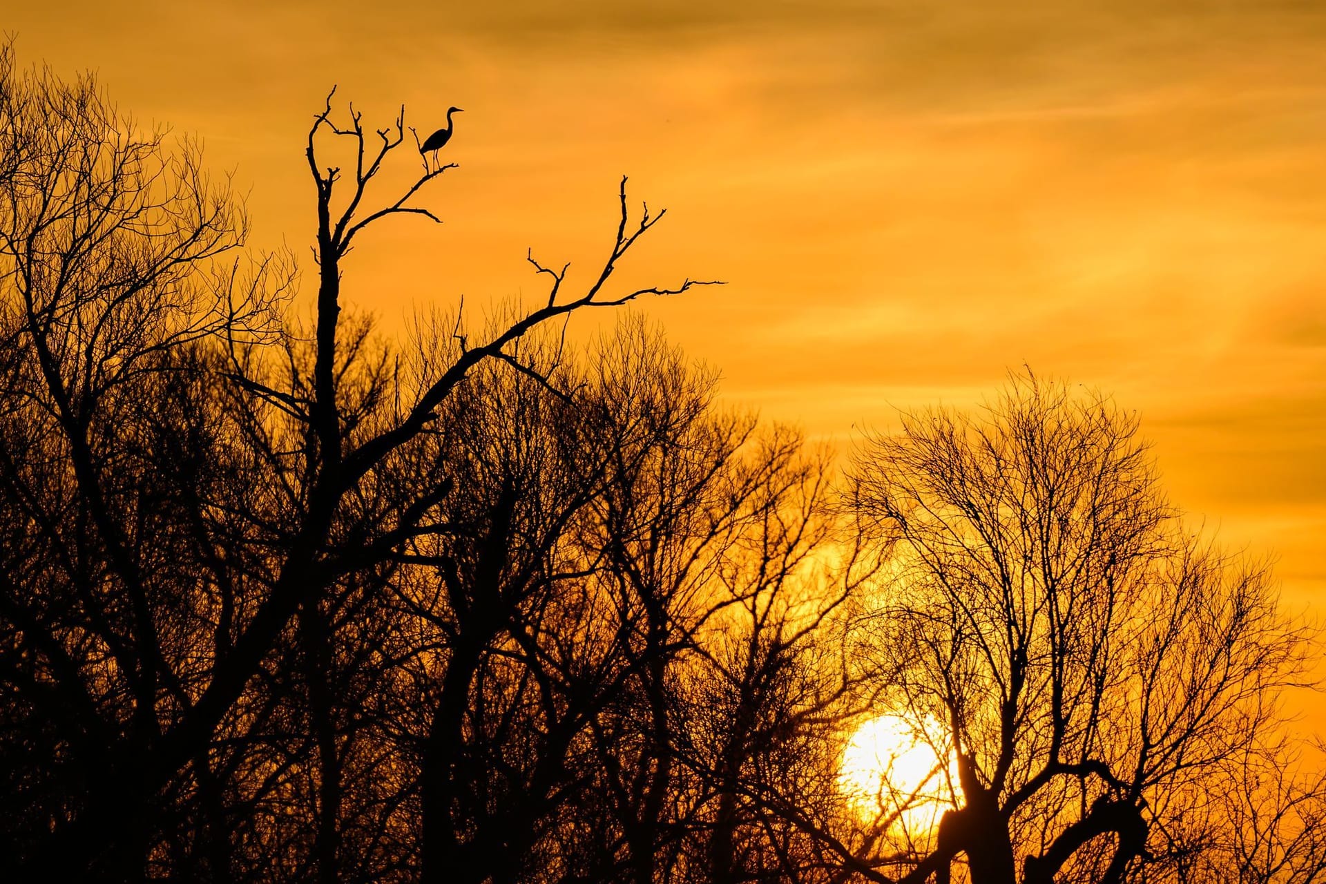 Morgenstimmung in Brandenburg