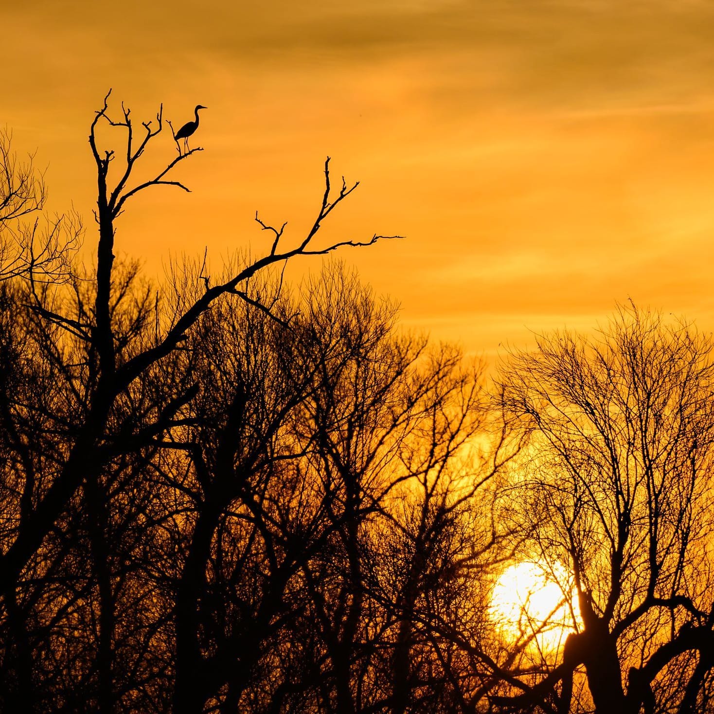 Morgenstimmung in Brandenburg