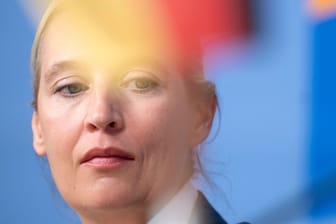 AfD-Politikerin Alice Weidel: Die demokratischen Parteien sollten sich nicht mit Rechtsaußen einlassen, warnt Historiker Volker Ullrich.