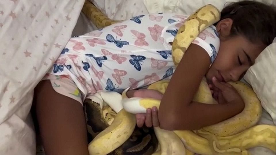 Ein Kind liegt mit mehreren Schlangen im Bett. Ein Kind liegt mit mehreren Schlangen im Bett.