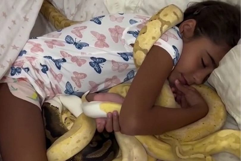 Ein Kind liegt mit mehreren Schlangen im Bett.