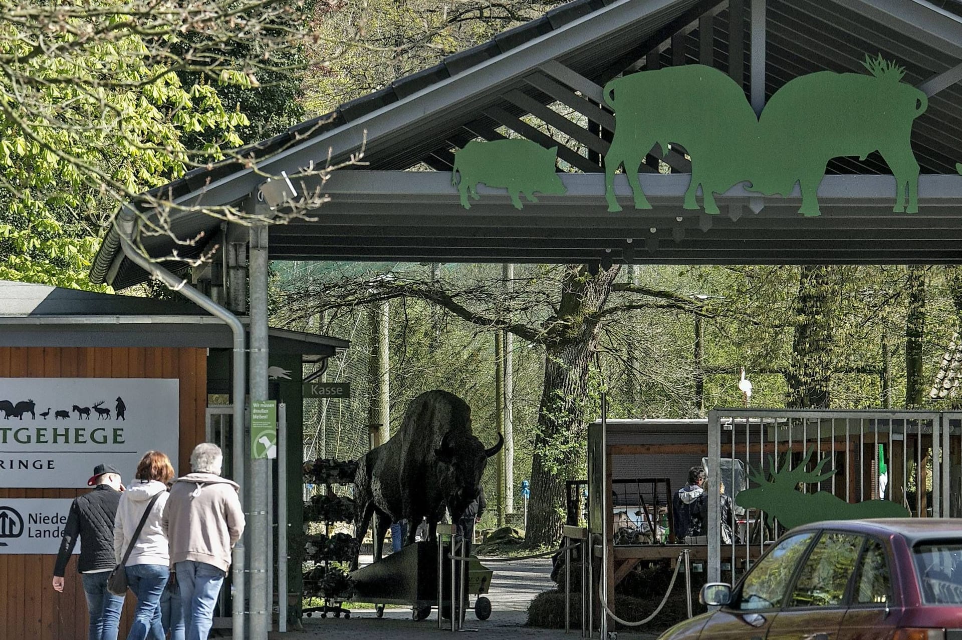 Eingang zum Wisentgehege in Springe bei Hannover. (Archivfoto)