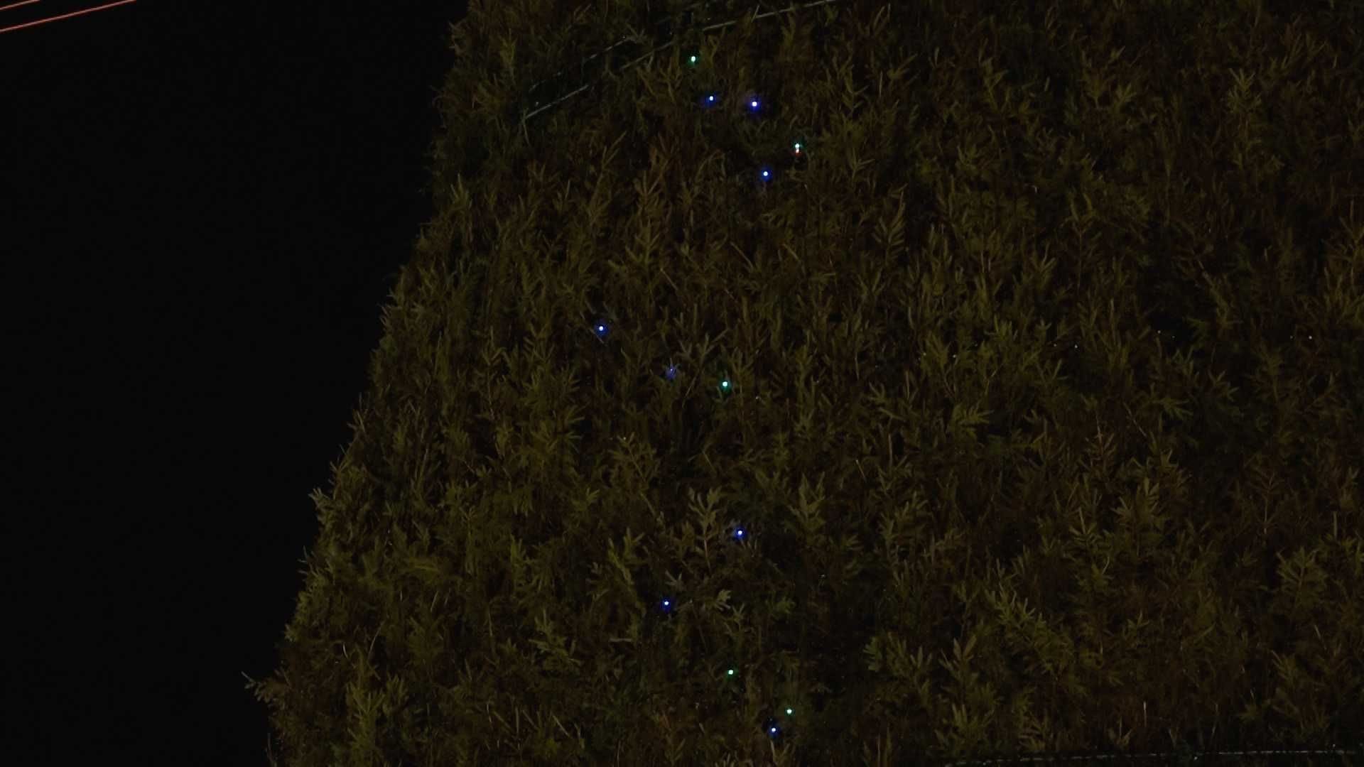 Wenn auch lediglich kleine Teile der Lichterkette: Sie leuchten bereits am Freitag.