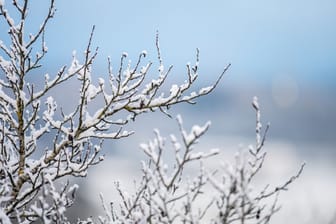 Schneefälle in Baden-Württemberg