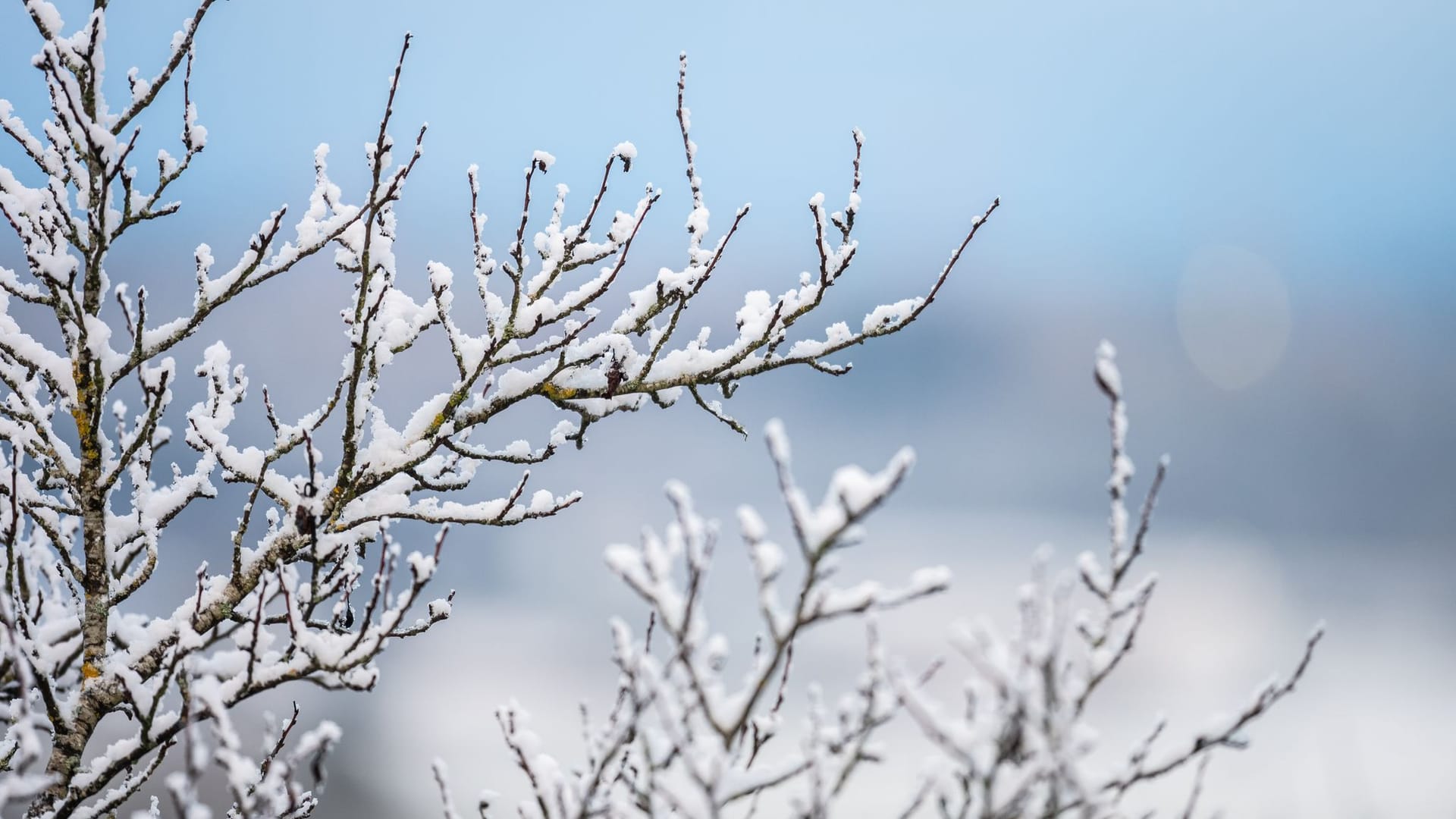 Schneefälle in Baden-Württemberg