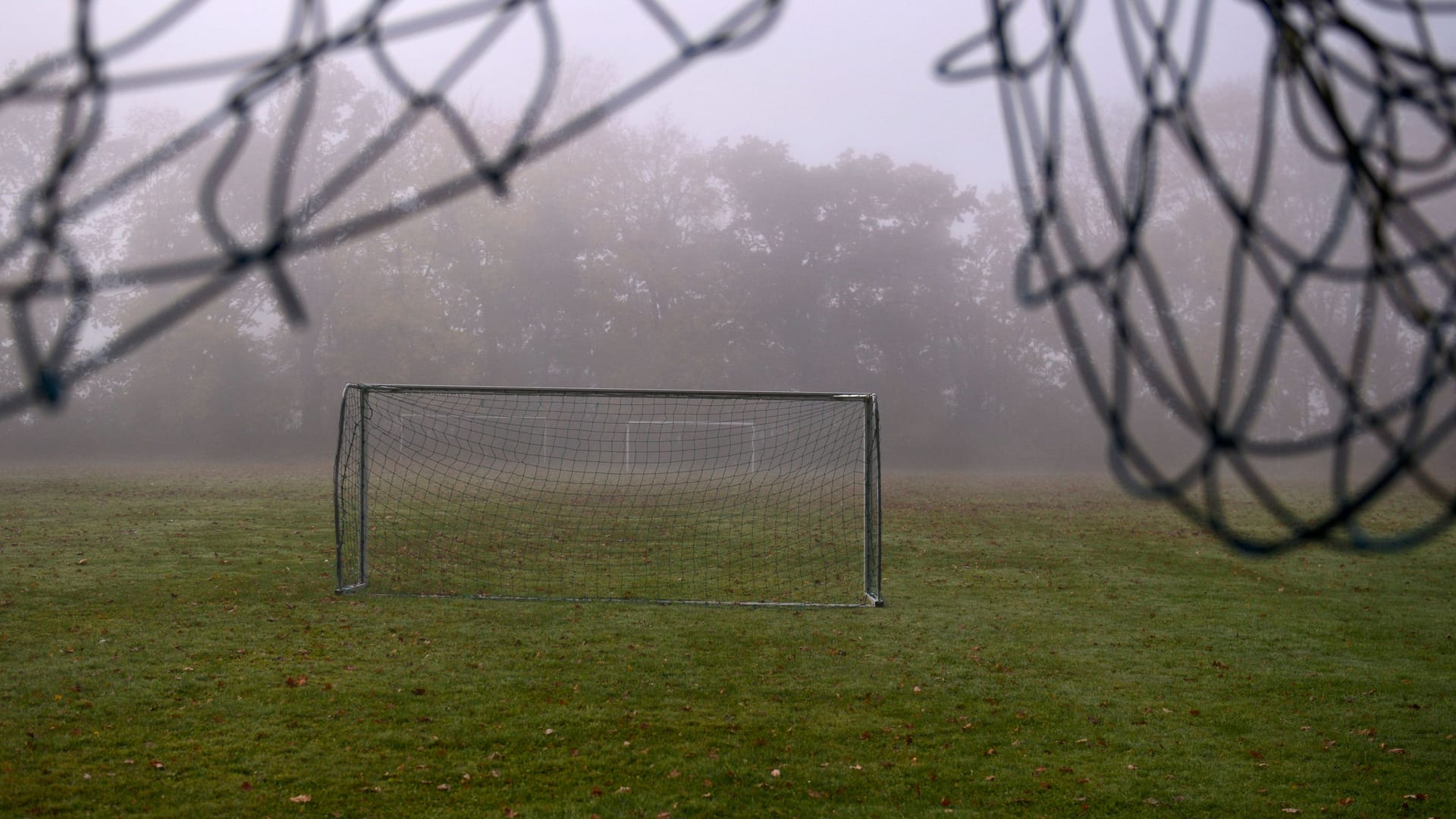 Ein Fußballplatz in Deutschland (Symbolbild): Bei einem Spiel in der Kreisklasse wurde ein Schiedsrichter geschlagen.